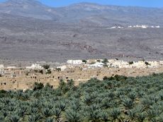 157 Oase Al Hamra.JPG